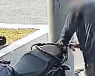 WhatsApp Image 2024-11-24 at 09.44.02