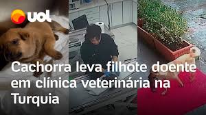 images-6.jpg