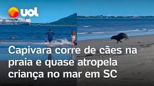 images-7.jpg