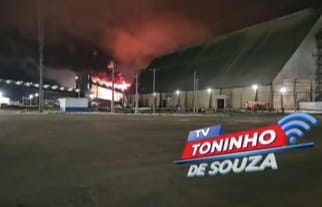 palmeiras