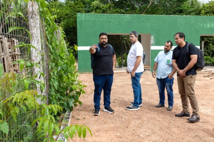 WhatsApp Image 2025-02-16 at 14.50.19