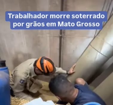 trabalhador