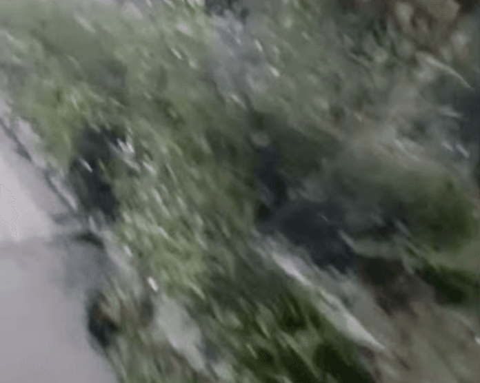 Captura de Tela 2025-04-19 às 08.06.35