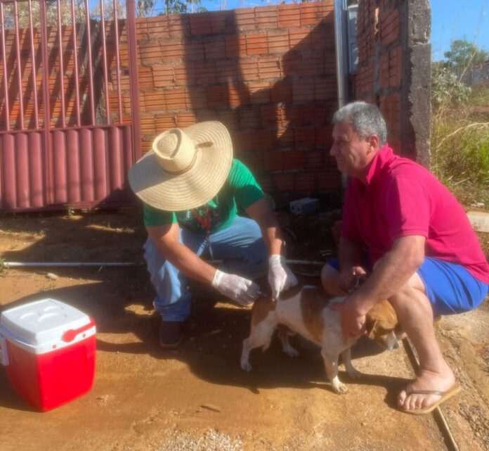 Reprodução: Internet.