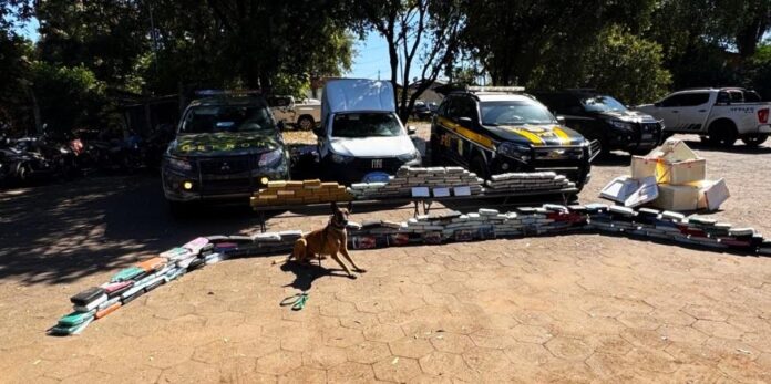 Reprodução: Internet.