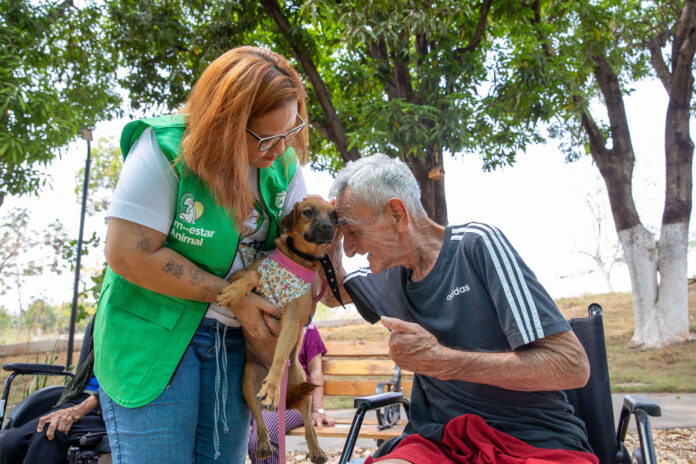 Reprodução: Internet.