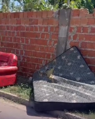 Reprodução: Internet.