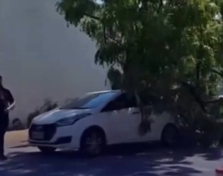 Reprodução: Internet.