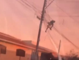 Reprodução: Internet.