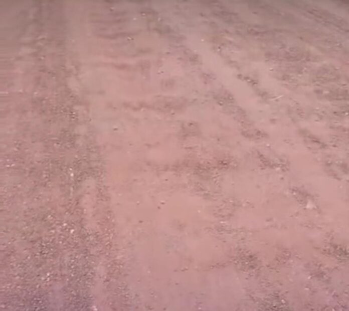 Reprodução: Internet.