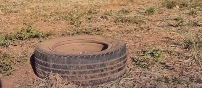 Reprodução: Internet.