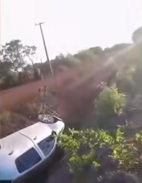 Reprodução: Internet.