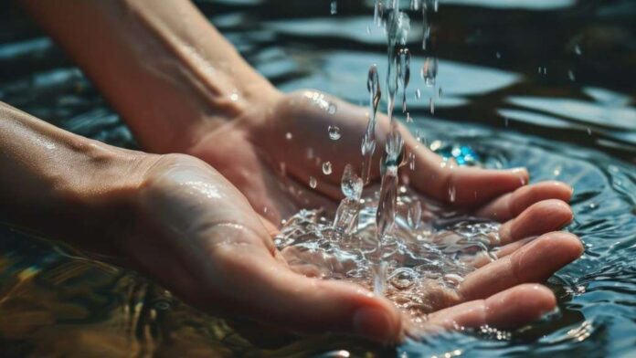 cfbbf1a8ebe88c721ba00f28aadc5583