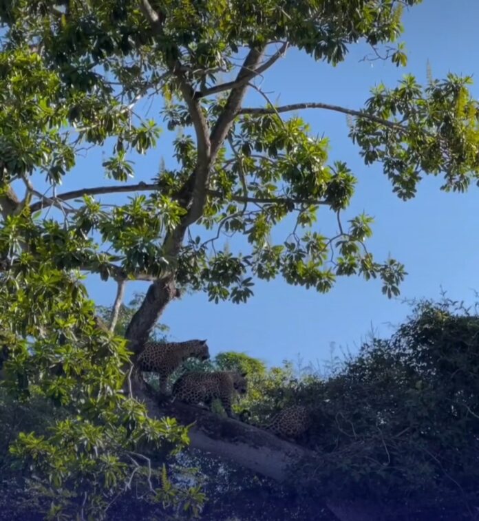 Screenshot_20251102_095229_Instagram