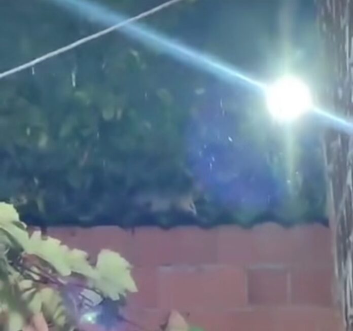 Screenshot_20251104_090126_Instagram