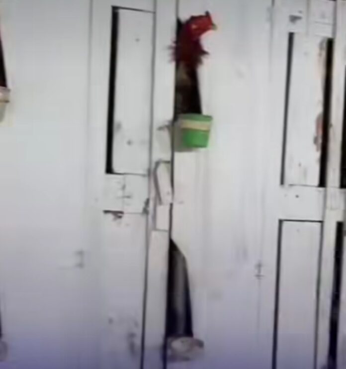 Screenshot_20251120_084627_Instagram