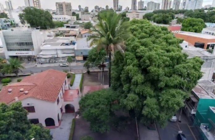 Screenshot_20251122_224833_Instagram