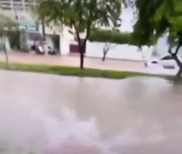 Screenshot_20251125_104813_Instagram