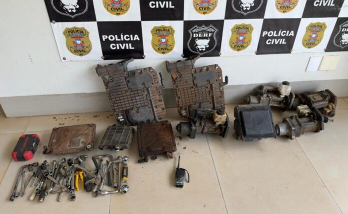 WhatsApp Image 2025-11-03 at 19.49.49