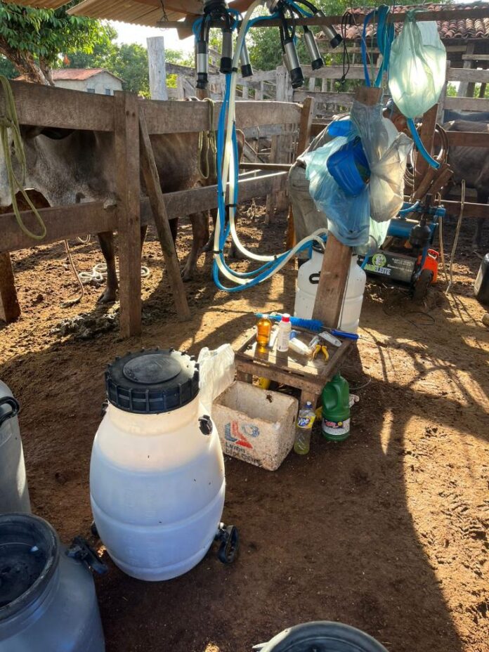 WhatsApp Image 2025-11-06 at 09.15.37