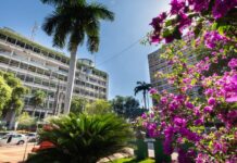 Cuiabá investe em rede de proteção e auxilia órfãos do Feminicídio