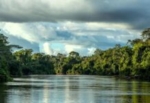 Acordo garante regularização definitiva e ampliação do Parque Cristalino II em Mato Grosso