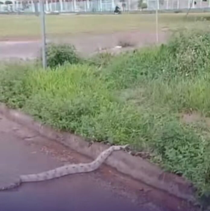 Screenshot_20251204_183052_Instagram