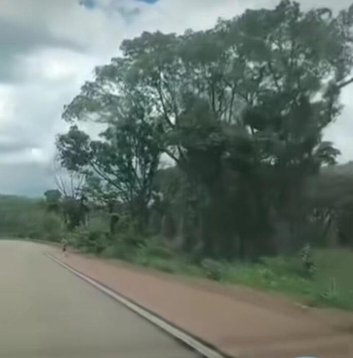 Screenshot_20251205_084437_Instagram