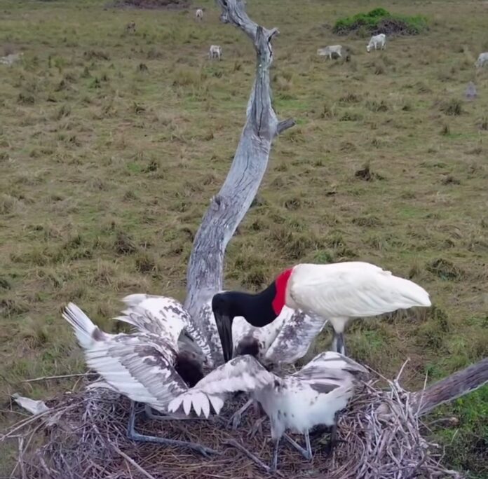 Screenshot_20251212_085941_Instagram