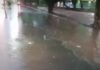 Vídeo: Chuva forte faz córrego transbordar e peixes aparecem em avenida de Ribeirão Preto