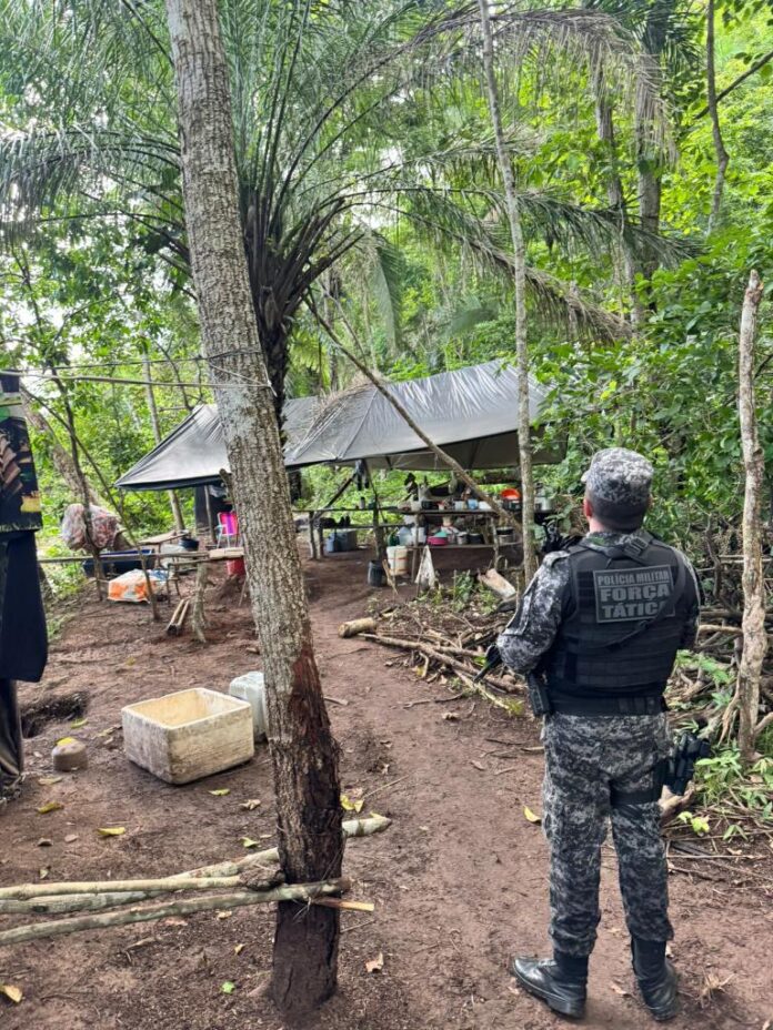 WhatsApp Image 2025-12-10 at 22.12.44