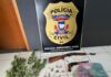Polícia Civil prende homem por tráfico de drogas e posse ilegal de armas em Paranaíta