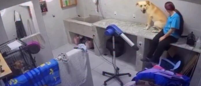 Screenshot_20260108_173342_Instagram