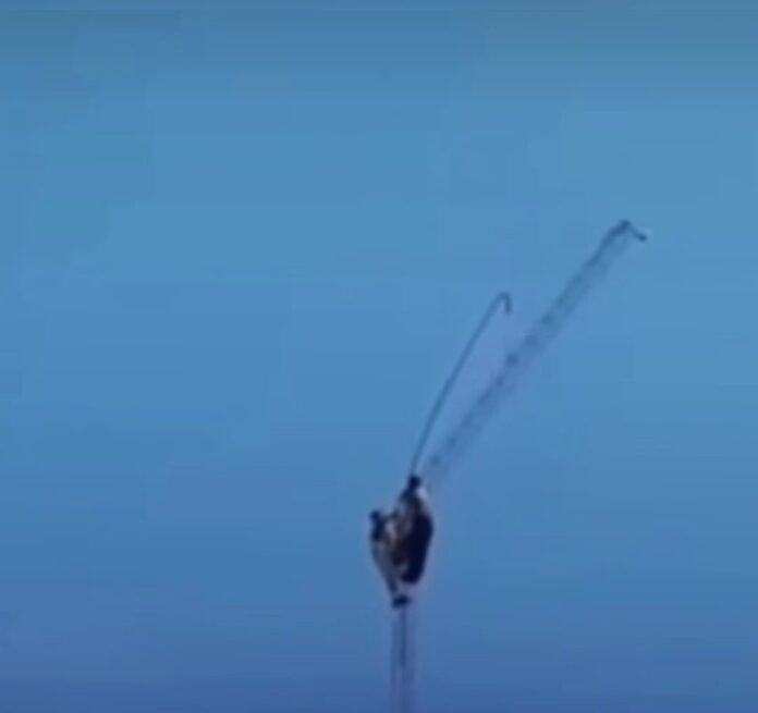 Screenshot_20260114_170118_Instagram