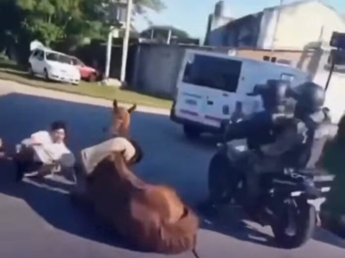 Screenshot_20260116_170027_Instagram