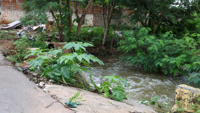 65dfbf18b59919382c3fbe319a6b2582