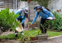 Cuiabá registra queda expressiva nos casos de Dengue e Chikungunya em 2026