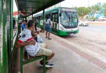 Primeira-dama lidera revitalização de pontos de ônibus em Cuiabá