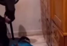 Vídeo: PM resgata reféns de execução em Pontes e Lacerda