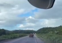 Vídeo: Caminhão desgovernado assusta motoristas na BR-116 em Minas Gerais