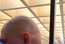 Vídeo: Prefeito aponta falta de mão de obra para serviços urbanos em Cuiabá