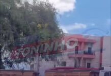 Vídeo: Bitrem na contramão causa transtorno e trava trânsito em Nova Mutum