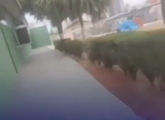 Vídeo: Presa em cemitério, mulher viraliza em Rondonópolis