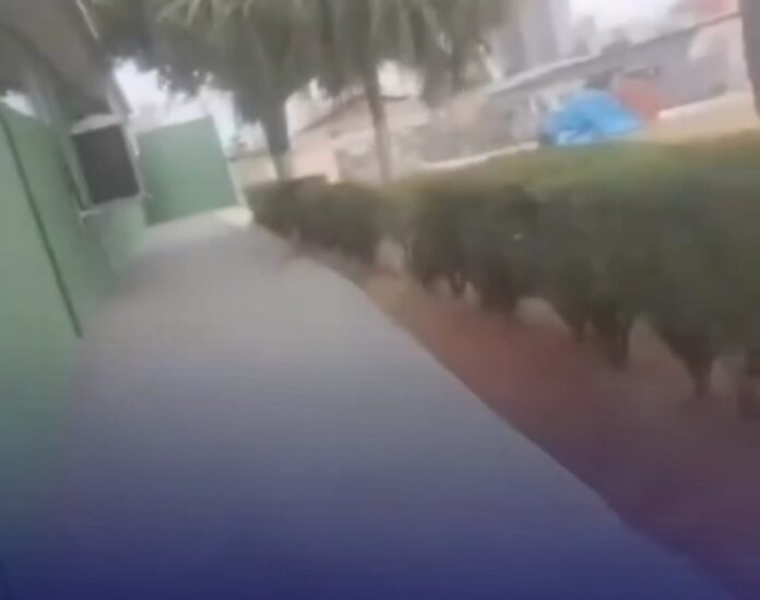 Screenshot_20260220_201109_Instagram