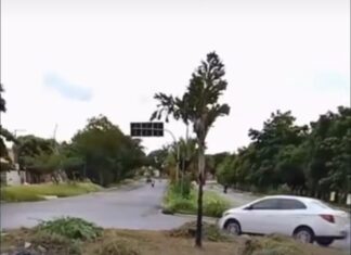 Vídeo: Limpeza e poda em canteiros do CPA chamam atenção de moradores