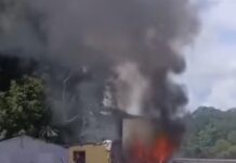 Vídeo: Carreta sai da pista, pega fogo e mata motorista em Nobres