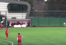 Vídeo: Goleiro acerta ave durante jogo e paralisa partida na Turquia