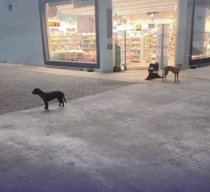 Screenshot_20260225_200706_Instagram