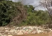 Vídeo: Pescador denuncia lixo no Rio Cuiabá e faz desabafo