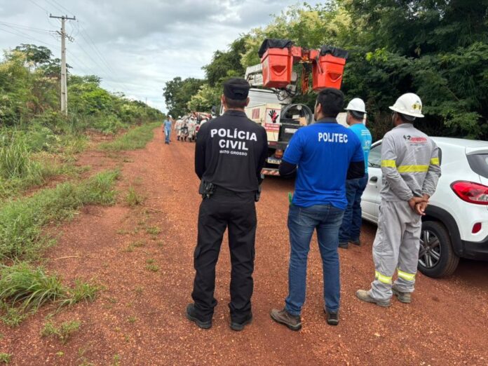 WhatsApp Image 2026-02-12 at 12.03.32